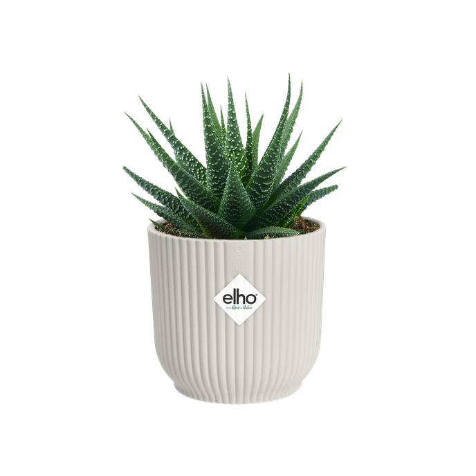 vibes fold round mini 9cm silky white